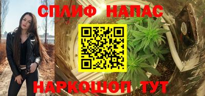 гидра Славянск-на-Кубани