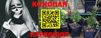 Альфа ПВП Славгород